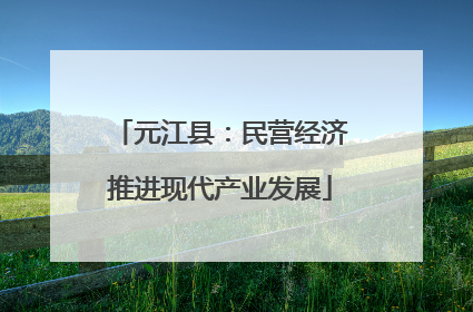 元江县：民营经济推进现代产业发展