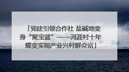 党建引领合作社 盐碱地变身“聚宝盆”——河涯村十年蝶变实现产业兴村群众富