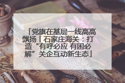 党旗在基层一线高高飘扬丨石家庄海关：打造“有呼必应 有困必解”关企互动新生态