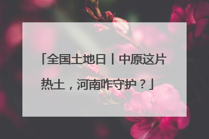 全国土地日丨中原这片热土，河南咋守护？