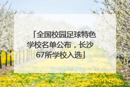 全国校园足球特色学校名单公布，长沙67所学校入选