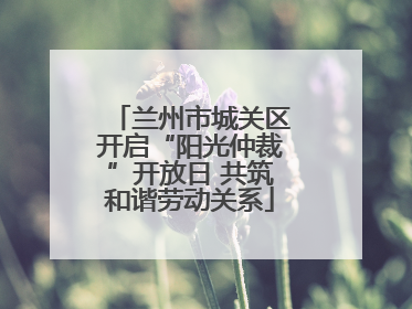 兰州市城关区开启“阳光仲裁”开放日 共筑和谐劳动关系