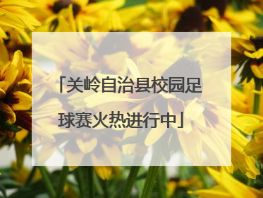 关岭自治县校园足球赛火热进行中