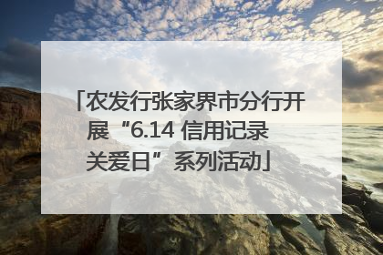 农发行张家界市分行开展“6.14 信用记录关爱日”系列活动