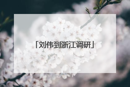 刘伟到浙江调研
