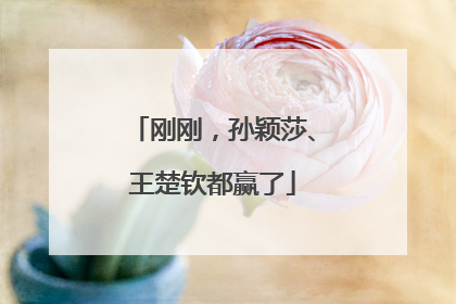 刚刚，孙颖莎、王楚钦都赢了