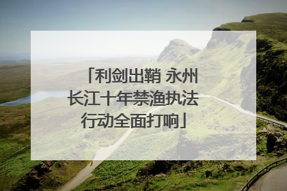 利剑出鞘 永州长江十年禁渔执法行动全面打响
