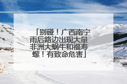 别碰！广西南宁雨后路边出现大量非洲大蜗牛和福寿螺！有致命危害