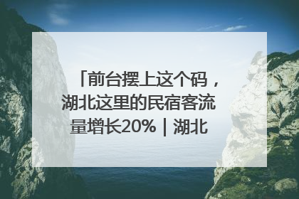 前台摆上这个码，湖北这里的民宿客流量增长20%｜湖北市场监管所的故事