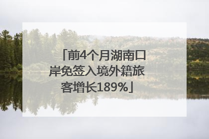 前4个月湖南口岸免签入境外籍旅客增长189%