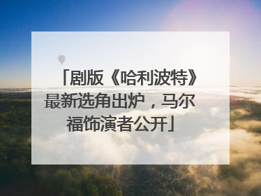 剧版《哈利波特》最新选角出炉，马尔福饰演者公开