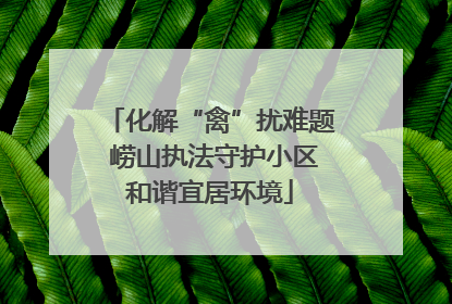 化解“禽”扰难题 崂山执法守护小区和谐宜居环境