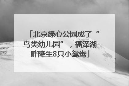 北京绿心公园成了“鸟类幼儿园”，福泽湖畔降生8只小鸳鸯