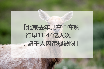 北京去年共享单车骑行量11.44亿人次，超千人因违规被限