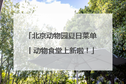 北京动物园夏日菜单丨动物食堂上新啦！