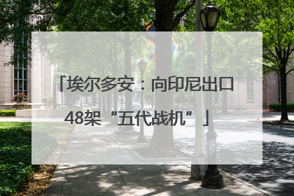 埃尔多安：向印尼出口48架“五代战机”