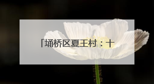 埇桥区夏王村：十年耕耘结出富民瓜