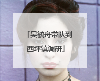 吴毓舟带队到西坪镇调研