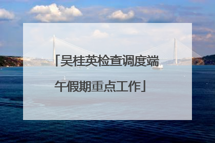 吴桂英检查调度端午假期重点工作