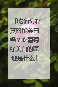 吃葡萄籽真的能美白吗？吃葡萄籽美白的原理是什么