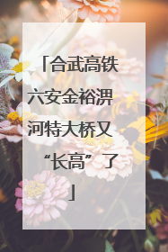 合武高铁六安金裕淠河特大桥又“长高”了