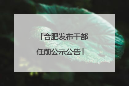 合肥发布干部任前公示公告