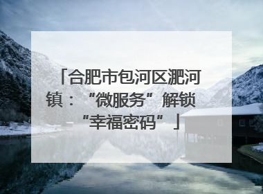 合肥市包河区淝河镇：“微服务”解锁“幸福密码”