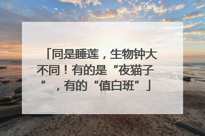 同是睡莲，生物钟大不同！有的是“夜猫子”，有的“值白班”