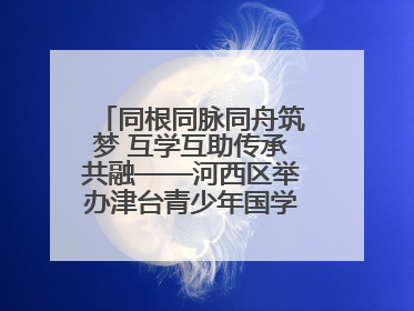 同根同脉同舟筑梦 互学互助传承共融——河西区举办津台青少年国学交流活动