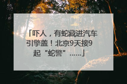 吓人，有蛇藏进汽车引擎盖！北京9天接9起“蛇警”……