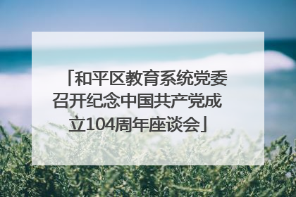 和平区教育系统党委召开纪念中国共产党成立104周年座谈会