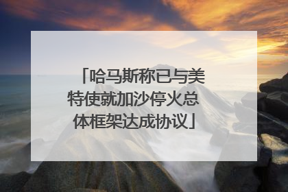 哈马斯称已与美特使就加沙停火总体框架达成协议