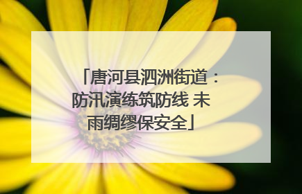 唐河县泗洲街道：防汛演练筑防线 未雨绸缪保安全