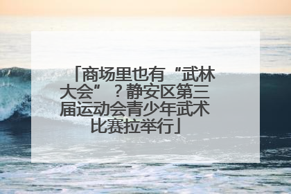商场里也有“武林大会”？静安区第三届运动会青少年武术比赛拉举行