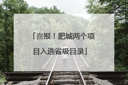 喜报！肥城两个项目入选省级目录