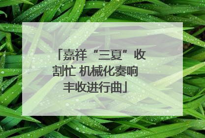 嘉祥“三夏”收割忙 机械化奏响丰收进行曲