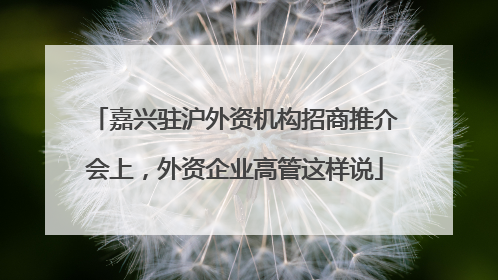 嘉兴驻沪外资机构招商推介会上，外资企业高管这样说
