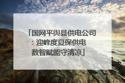国网平舆县供电公司：迎峰度夏保供电  数智赋能守清凉