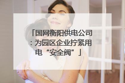 国网衡阳供电公司：为园区企业拧紧用电“安全阀”
