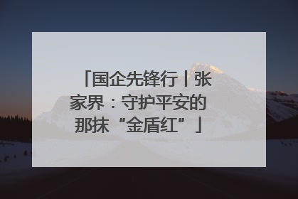 国企先锋行丨张家界：守护平安的那抹“金盾红”