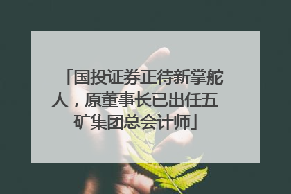 国投证券正待新掌舵人，原董事长已出任五矿集团总会计师