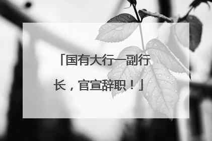 国有大行一副行长，官宣辞职！