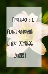 国足0∶1印尼 梦断雅加达 无缘美加墨