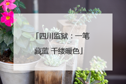 四川监狱：一笔藏蓝 千缕暖色