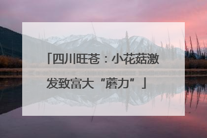 四川旺苍：小花菇激发致富大“蘑力”