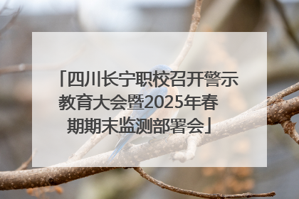 四川长宁职校召开警示教育大会暨2025年春期期末监测部署会