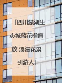 四川麓湖生态城蓝花楹盛放 浪漫花景引游人