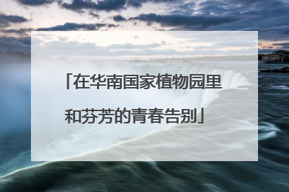 在华南国家植物园里和芬芳的青春告别