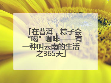 在普洱，粽子会“喝”咖啡——有一种叫云南的生活之365天
