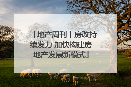 地产周刊丨房改持续发力 加快构建房地产发展新模式